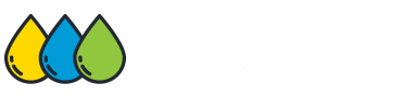 Carpet Cleaning Bexley